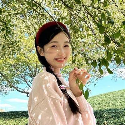 禁宫十二钗